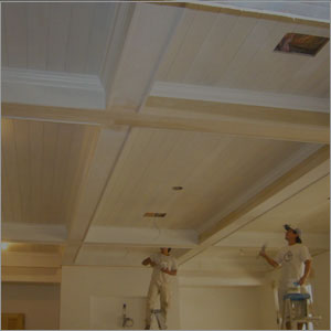 Local Ceiling Repair Expert