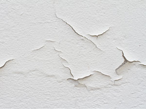 water damge and damp walls can be repaired